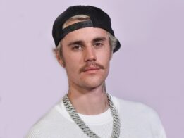 {{brizy_dc_image_alt entityId=